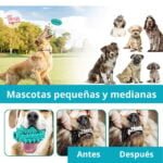 Juguete y cepillo de dientes para Mascotas | antiestrés - Imagen 2